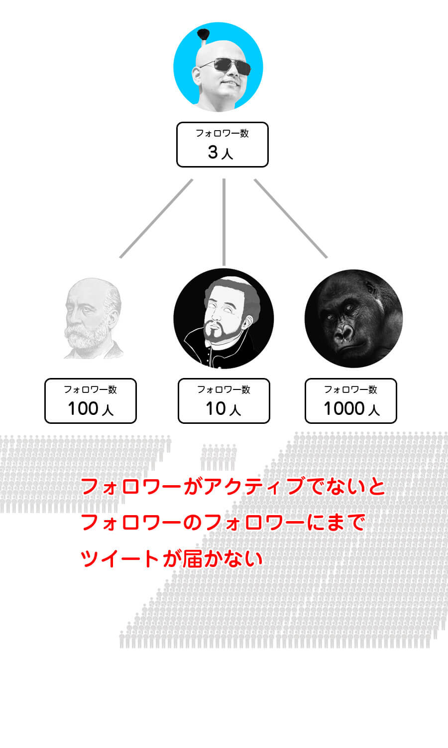 フォロワーの構成