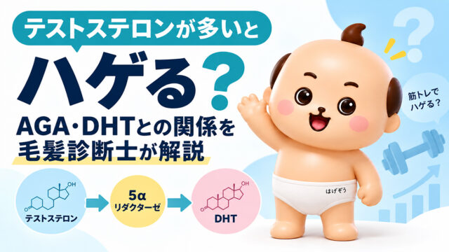 テストステロンが多いとハゲる？AGA・DHTとの関係を毛髪診断士が解説